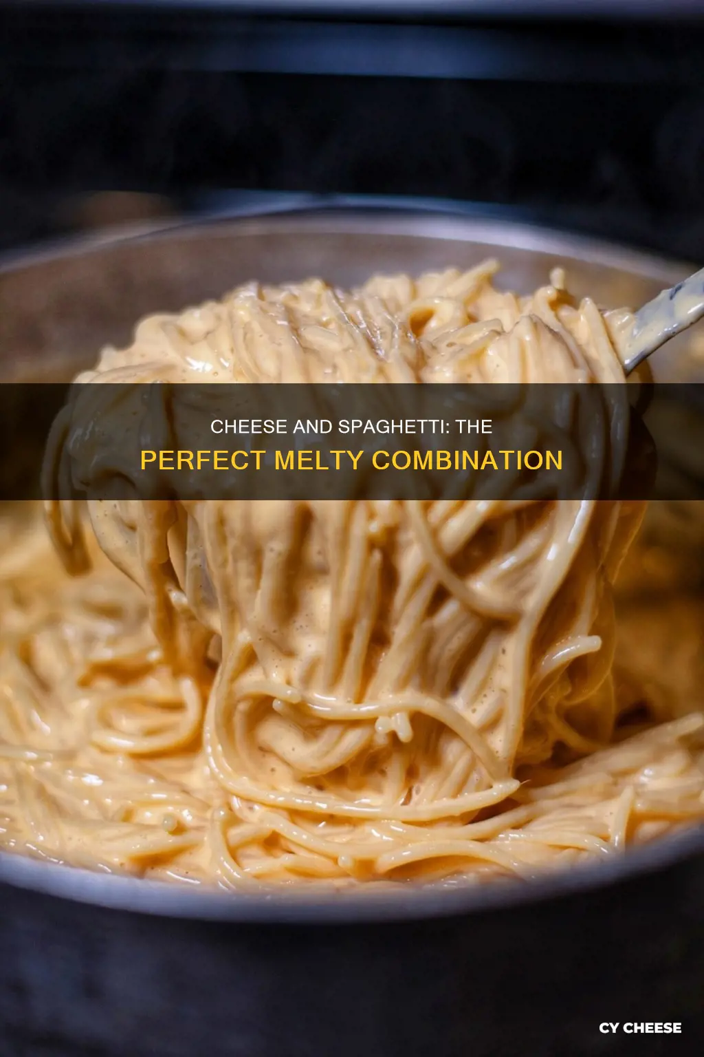 what kind of cheese do you put in spaghetti