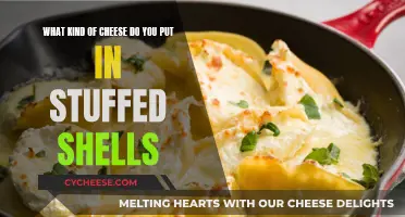 Cheese Options for Stuffed Shells: A Guide