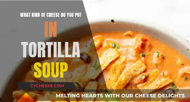 Cheese Choice for Tortilla Soup Perfection