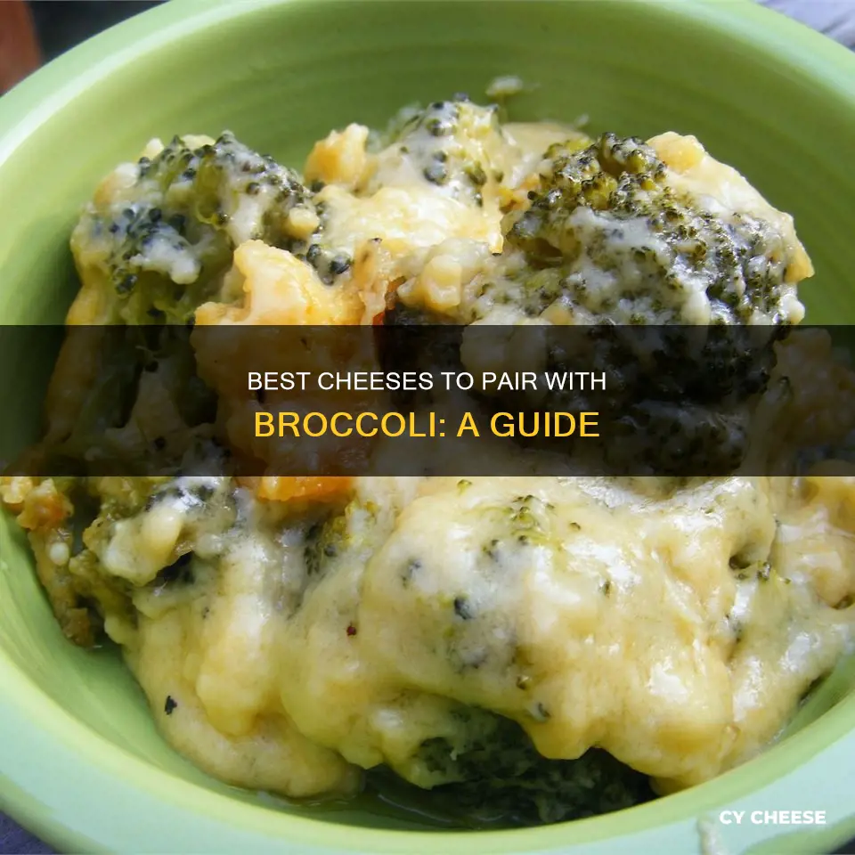 what kind of cheese do you put on broccoli