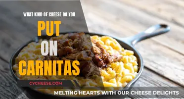 Carnitas and Cheese: Perfect Pairing for Melty Goodness