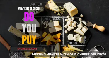 Cheese Buying Guide: Selecting the Perfect Cheese