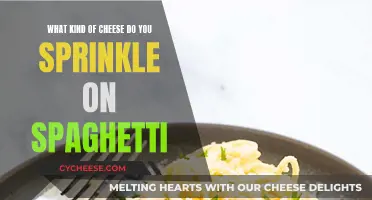 Cheese Toppings for Spaghetti: The Best Sprinkles for Your Pasta