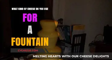 Cheese Fountain: Melting the Right Kind of Cheese