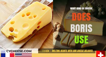 Cheeses Preferred by Boris: A Comprehensive Guide