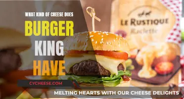 The Cheesy Truth: Burger King's Melty Options