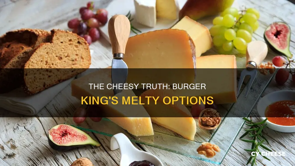 what kind of cheese does burger king have