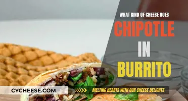 Chipotle's Burrito Cheese: A Melty, Cheesy Delight