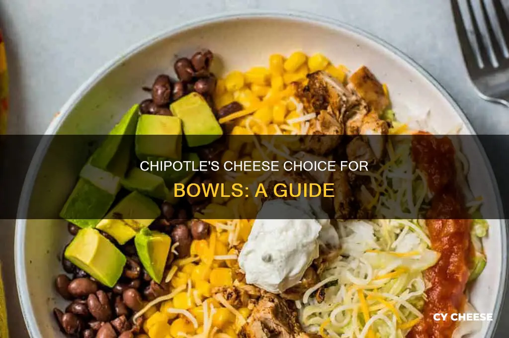 what kind of cheese does chipotle use for bowls