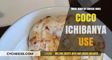 The Secret Behind Coco Ichibanya's Cheese Topping