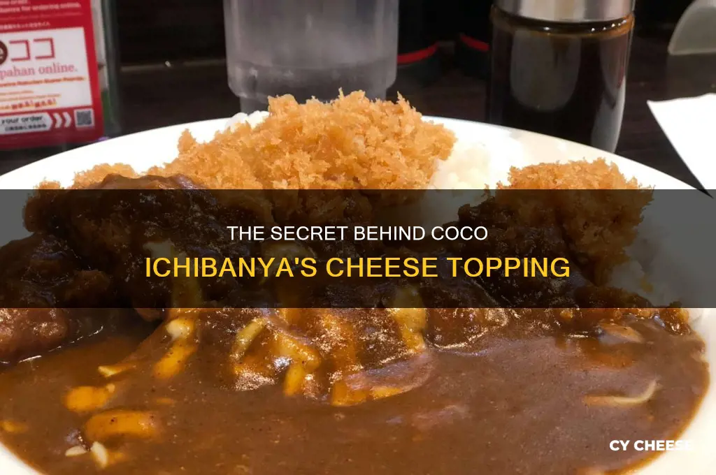 what kind of cheese does coco ichibanya use
