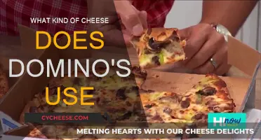 Domino's Cheese Choice: What's on the Menu?