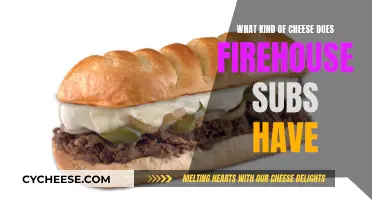 Firehouse Subs: Exploring Their Cheesy Options