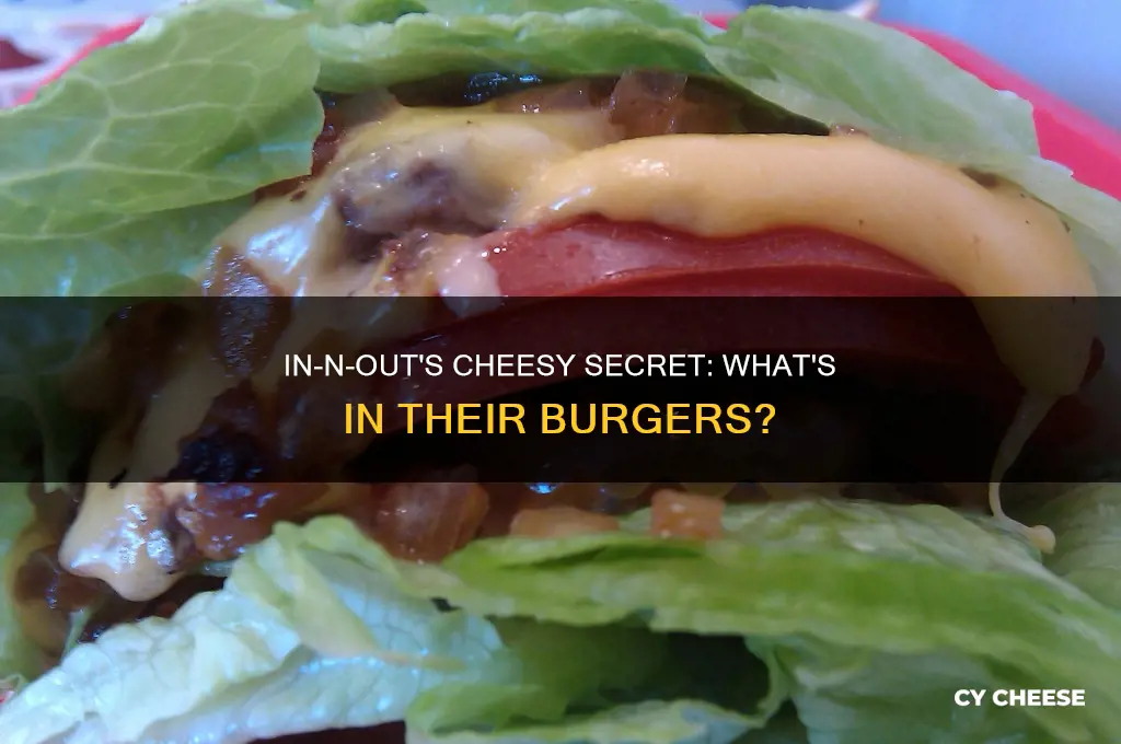 what kind of cheese does in and out burger use
