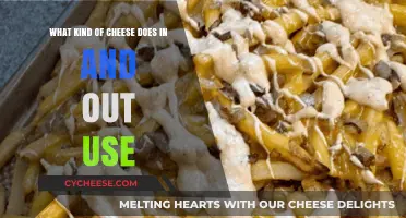 In-N-Out's Cheese: What's the Secret?