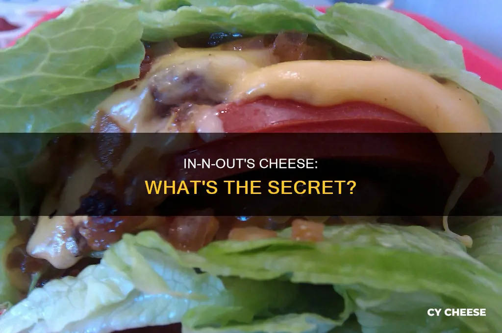 what kind of cheese does in and out use