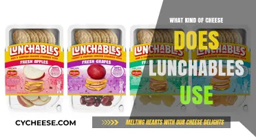 Lunchables Cheese: What's the Deal?