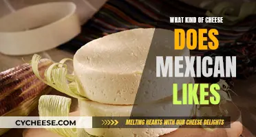 The Favorite Cheeses of Mexico: A Cultural Overview