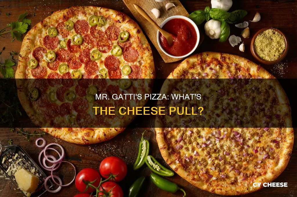 what kind of cheese does mr gatti
