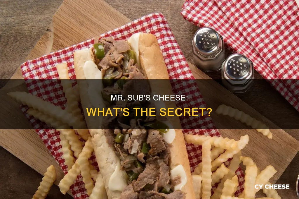 what kind of cheese does mr sub use