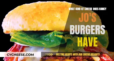 Nancy Jo's Burger Cheese: A Cheesy Delight