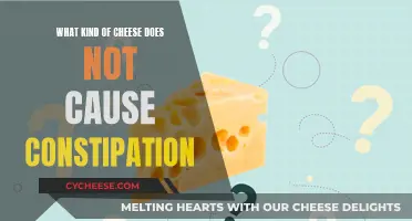 Cheese Varieties to Consume for Constipation Relief