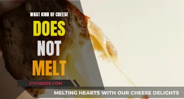 Cheese that Resists Melting: What's the Secret?