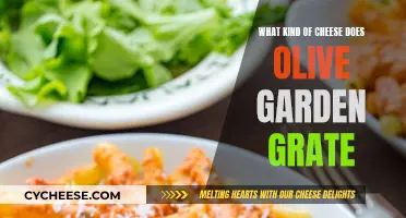 The Grated Cheese of Olive Garden's Kitchen