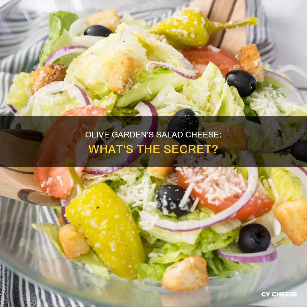 what kind of cheese does olive garden put on salad