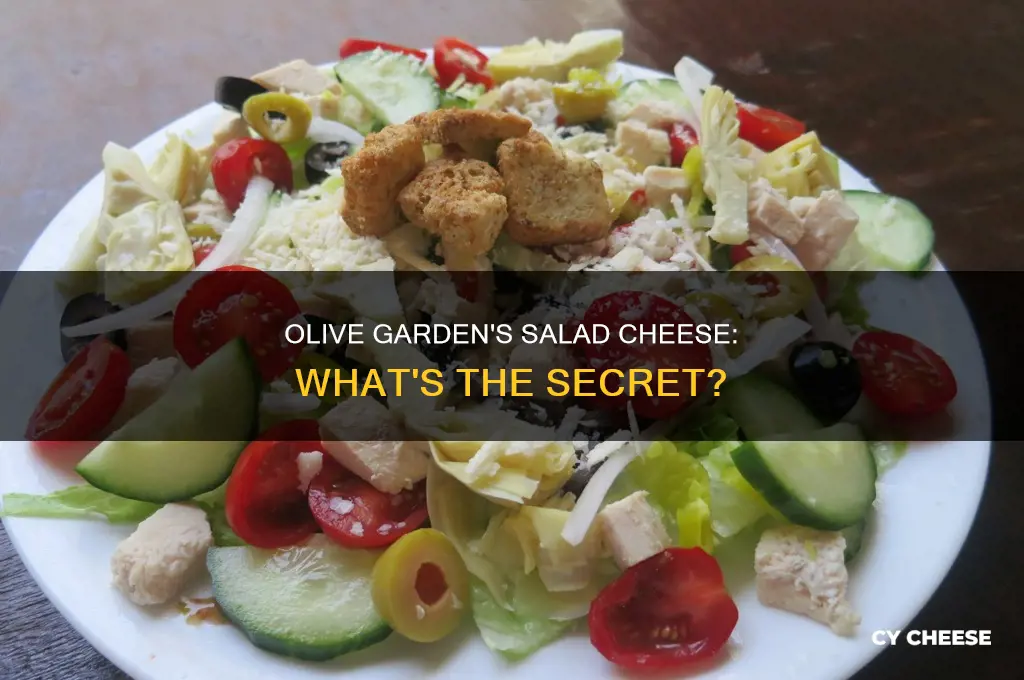 what kind of cheese does olive garden use on salad