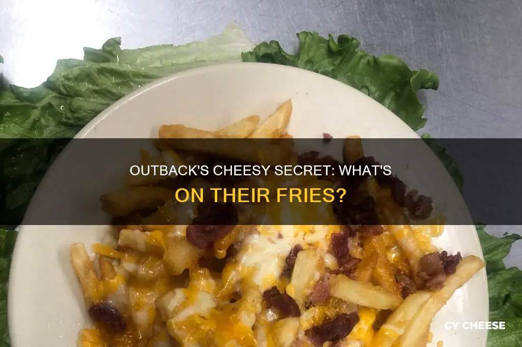 what kind of cheese does outback use on their fries