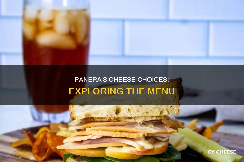 what kind of cheese does panera use on sandwiches