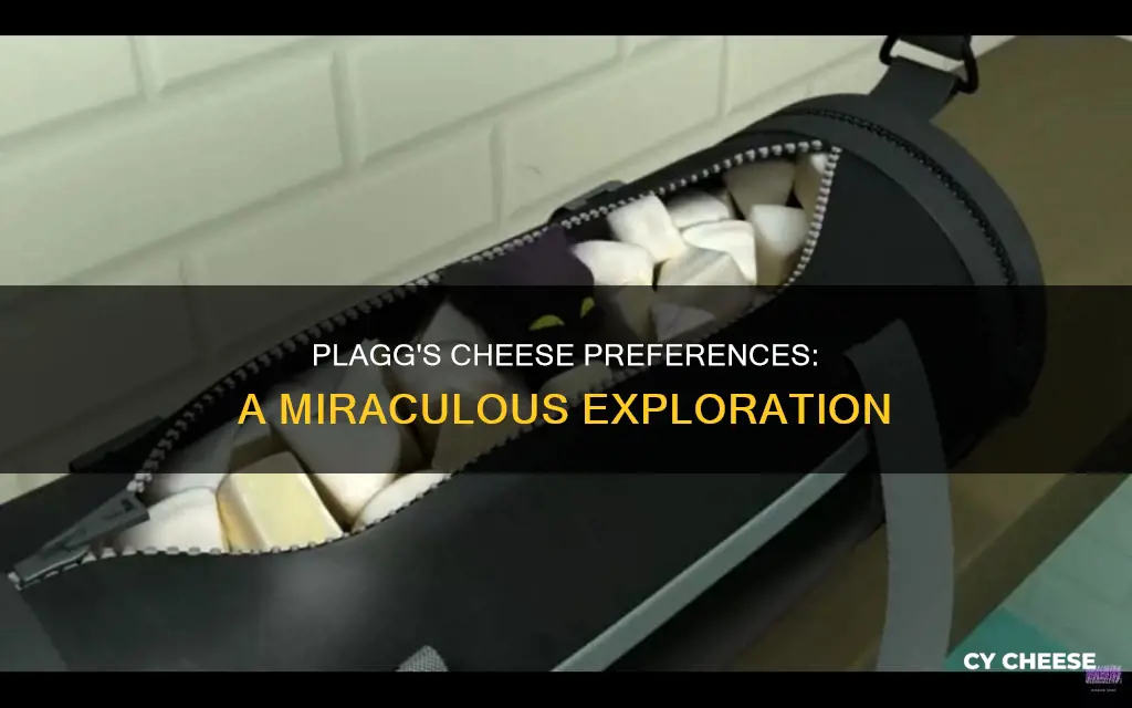 what kind of cheese does plagg like