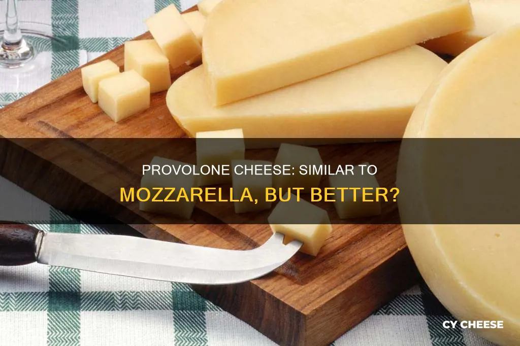 what kind of cheese does provolone taste like