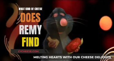 A Mouse's Cheese Adventure: Remy's Discovery