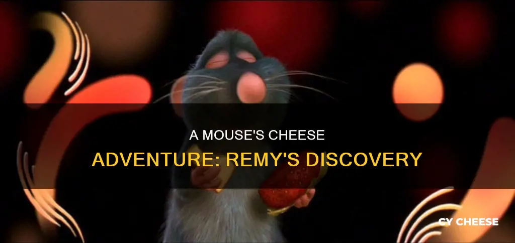 what kind of cheese does remy find