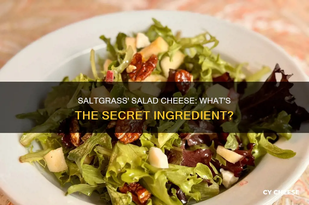 what kind of cheese does saltgrass use in their salads