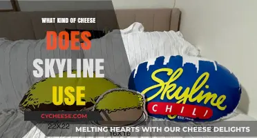 Skyline's Secret Cheese Sauce: What's the Recipe?