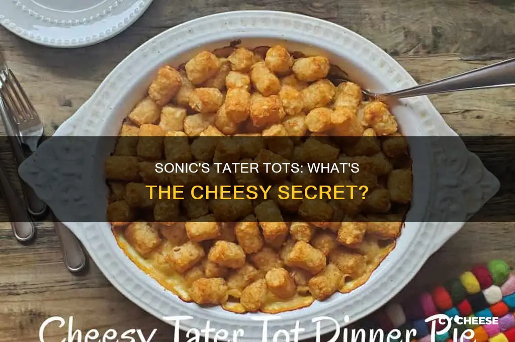 what kind of cheese does sonic use on tater tots