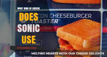 Sonic's Cheese Choice: A Tasty Secret