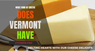 Vermont's Cheese Specialties: A Tasty Overview