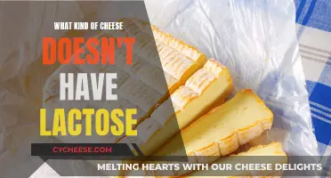 Cheese Without Lactose: What Are Your Options?