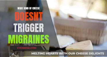 Cheeses to Eat Without Migraines: A Guide