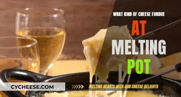 Cheese Fondue Melting Pot: Exploring the Varieties