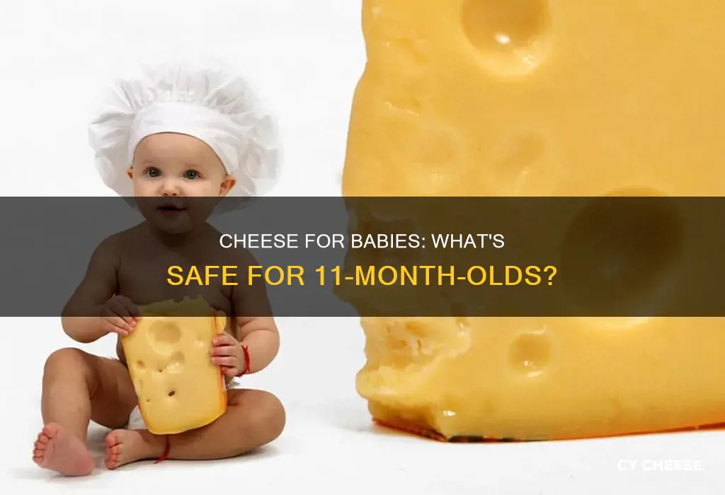 what kind of cheese for 11 month old