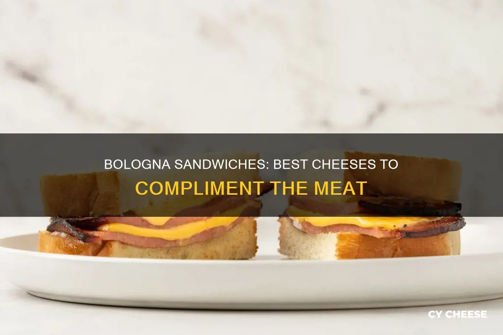 what kind of cheese for a bologna sandwich