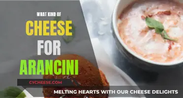 Cheese Choices for Perfect Arancini