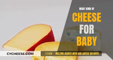 Cheese for Babies: What Types Are Safe?