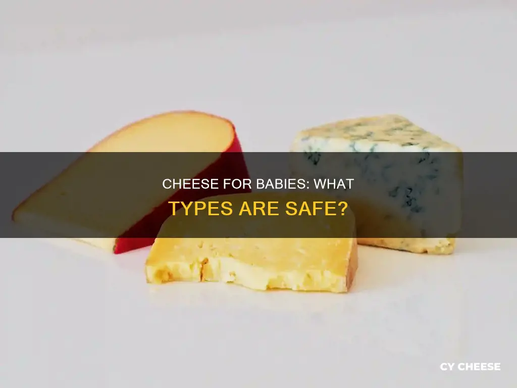 what kind of cheese for baby