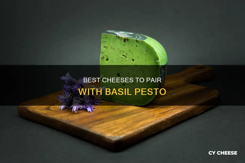 what kind of cheese for basel pesto